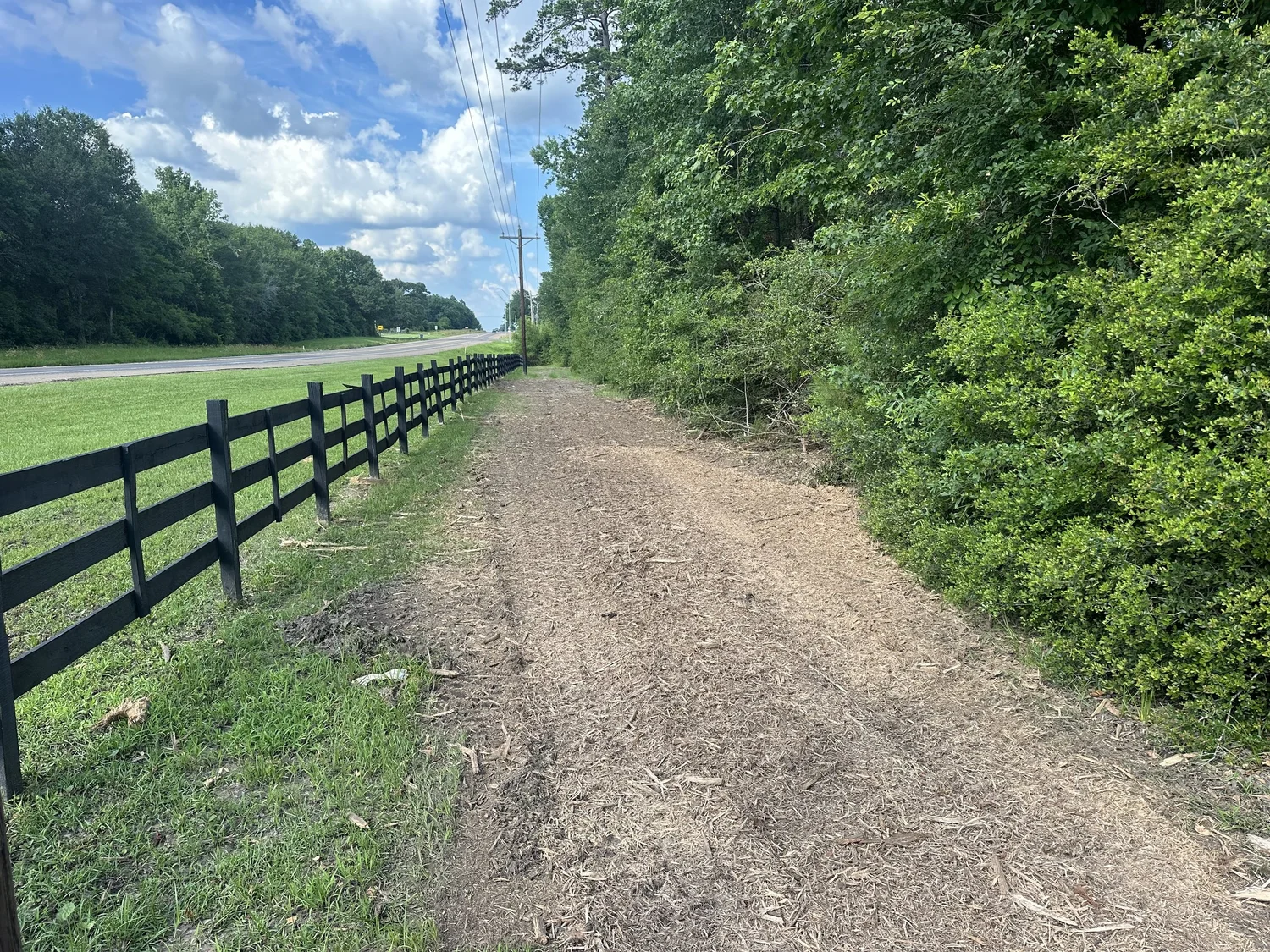 Cleared strip alongside a wooden fence and tree line